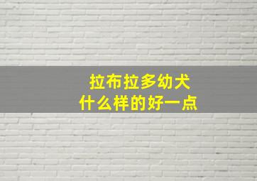 拉布拉多幼犬什么样的好一点