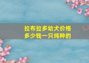 拉布拉多幼犬价格多少钱一只纯种的