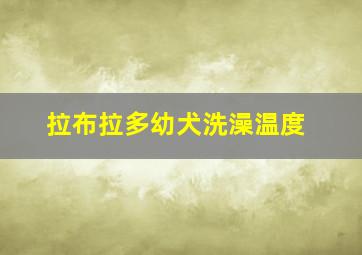 拉布拉多幼犬洗澡温度