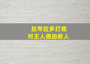 拉布拉多打他对主人很凶咬人