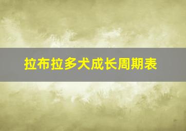 拉布拉多犬成长周期表