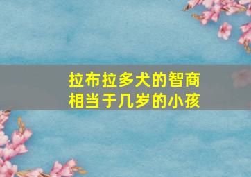 拉布拉多犬的智商相当于几岁的小孩