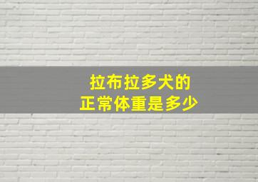 拉布拉多犬的正常体重是多少