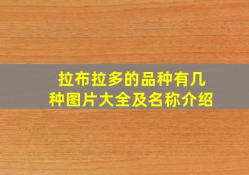 拉布拉多的品种有几种图片大全及名称介绍