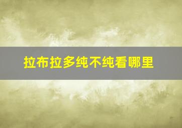 拉布拉多纯不纯看哪里