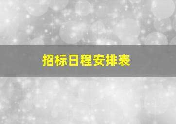 招标日程安排表