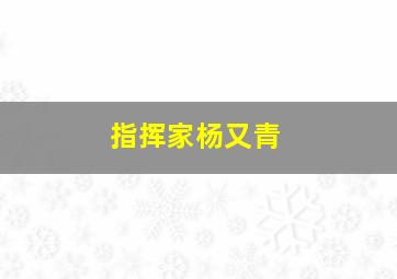 指挥家杨又青