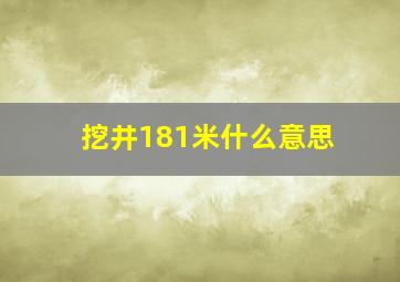 挖井181米什么意思