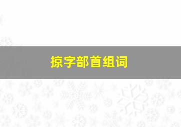 掠字部首组词