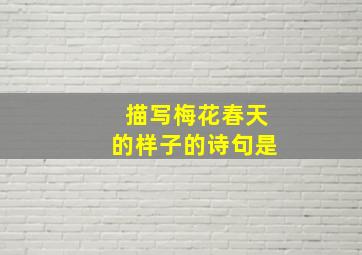 描写梅花春天的样子的诗句是