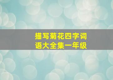 描写菊花四字词语大全集一年级