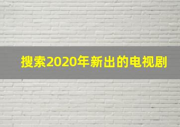 搜索2020年新出的电视剧