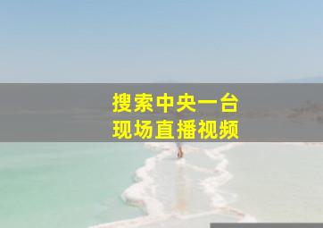 搜索中央一台现场直播视频