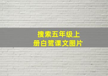 搜索五年级上册白鹭课文图片