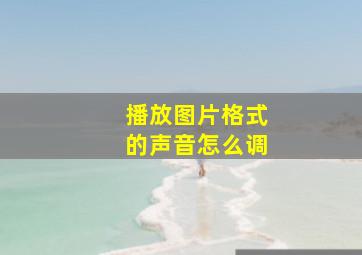 播放图片格式的声音怎么调