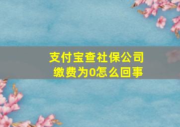 支付宝查社保公司缴费为0怎么回事