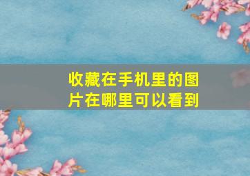 收藏在手机里的图片在哪里可以看到