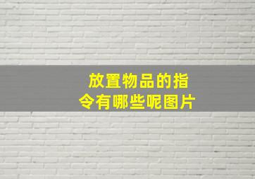 放置物品的指令有哪些呢图片