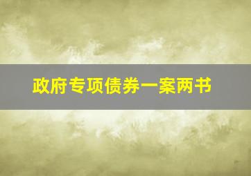 政府专项债券一案两书