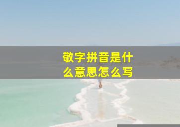 敬字拼音是什么意思怎么写