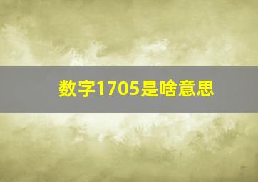 数字1705是啥意思