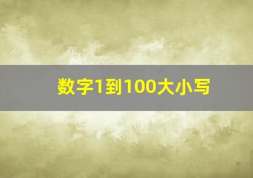 数字1到100大小写