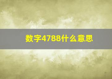 数字4788什么意思