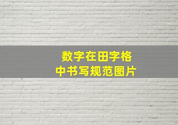 数字在田字格中书写规范图片