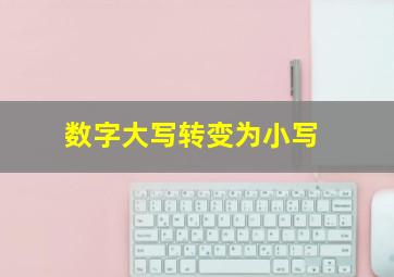 数字大写转变为小写