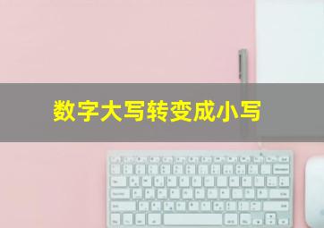 数字大写转变成小写