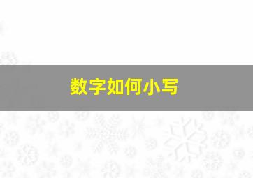 数字如何小写