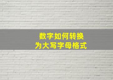 数字如何转换为大写字母格式