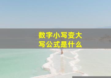 数字小写变大写公式是什么