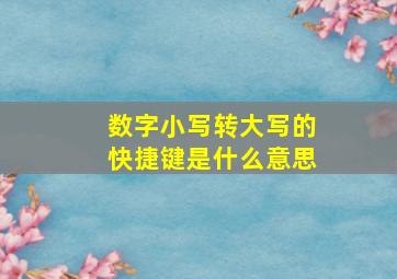 数字小写转大写的快捷键是什么意思