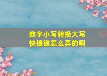 数字小写转换大写快捷键怎么弄的啊