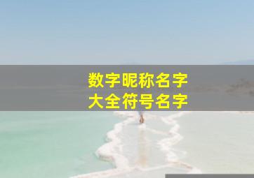 数字昵称名字大全符号名字