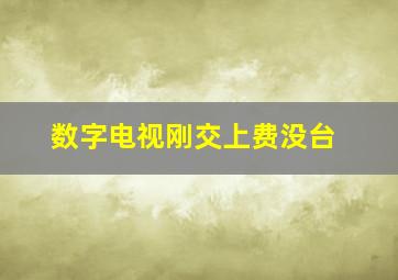 数字电视刚交上费没台