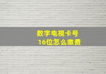 数字电视卡号16位怎么缴费