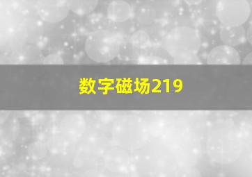 数字磁场219