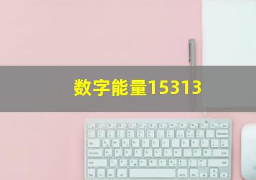 数字能量15313