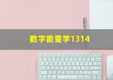 数字能量学1314