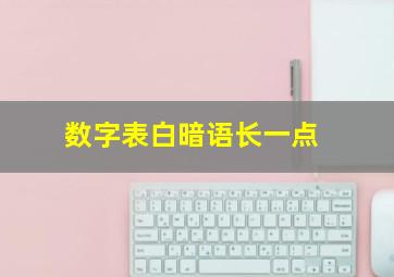 数字表白暗语长一点