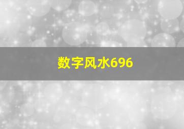 数字风水696