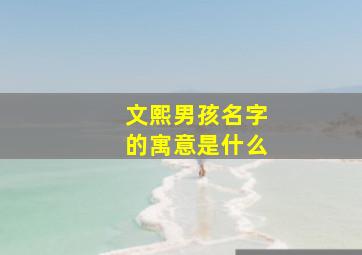 文熙男孩名字的寓意是什么