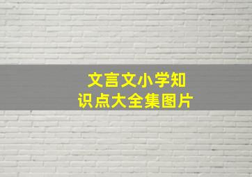 文言文小学知识点大全集图片