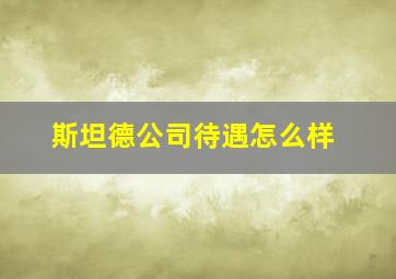 斯坦德公司待遇怎么样