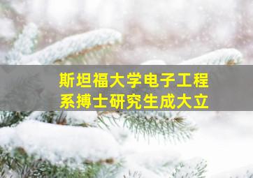 斯坦福大学电子工程系搏士研究生成大立