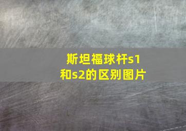 斯坦福球杆s1和s2的区别图片