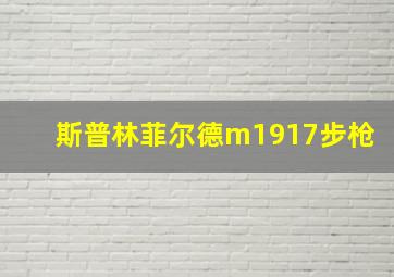 斯普林菲尔德m1917步枪