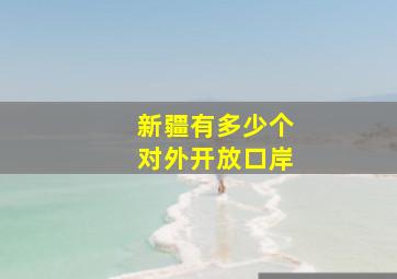 新疆有多少个对外开放口岸